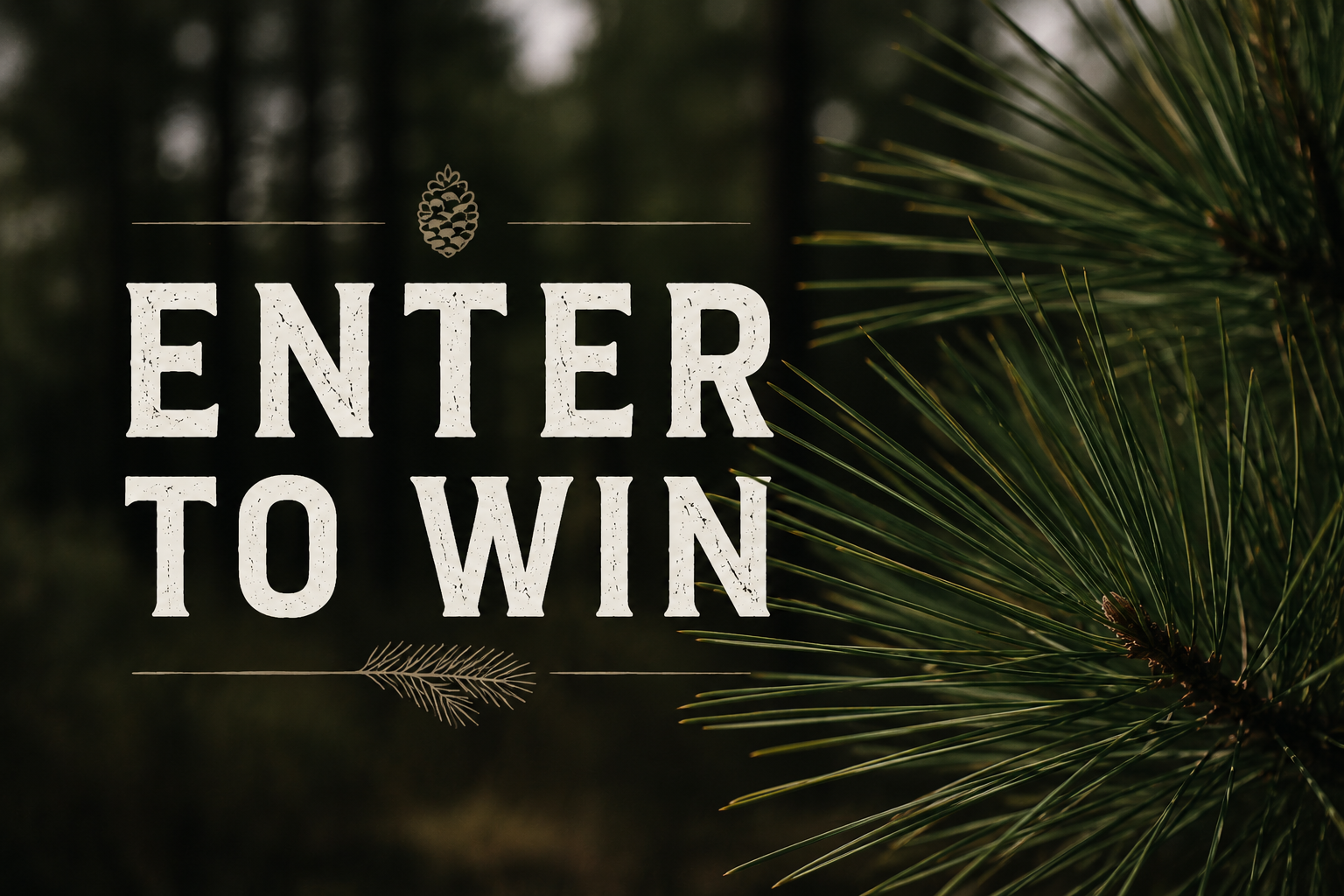 Enter To Win