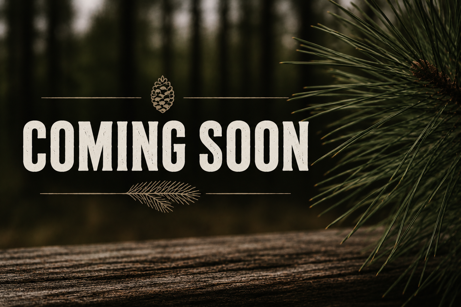 Coming Soon